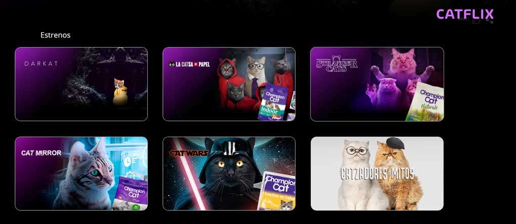 Dato inútil, existe un Netflix de gatos