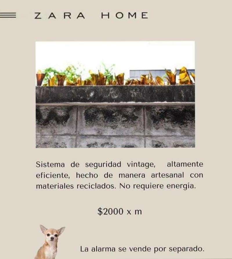 Meme Zara sistema de seguridad