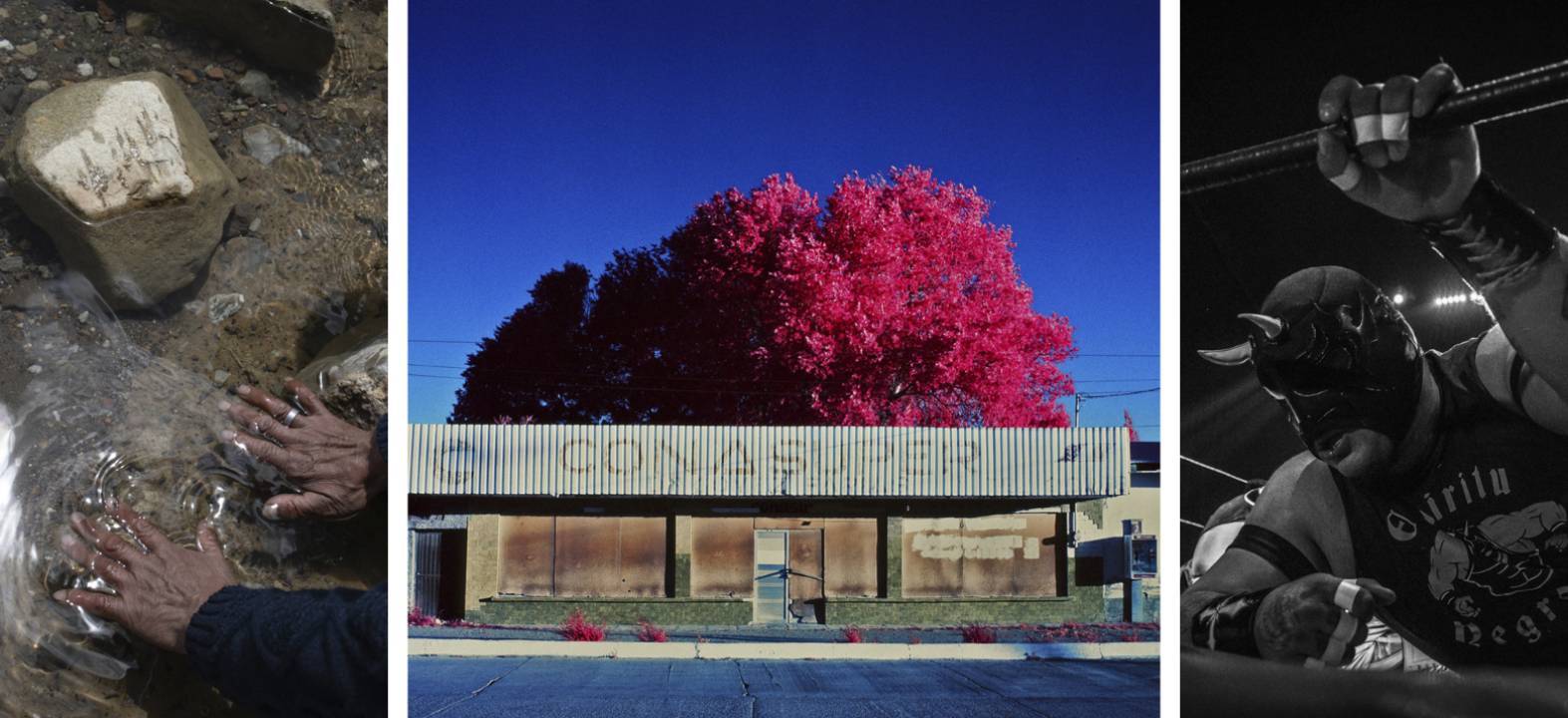 Latin America Professional Award