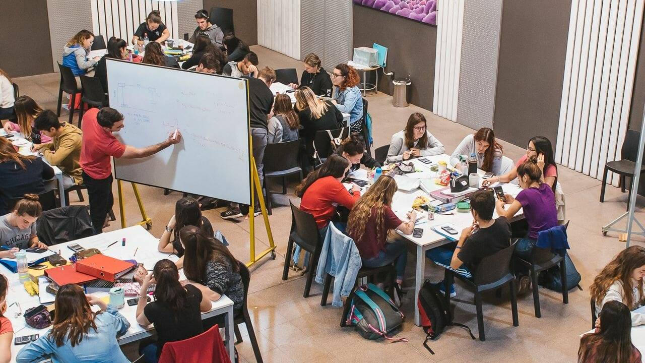 curso programación egg