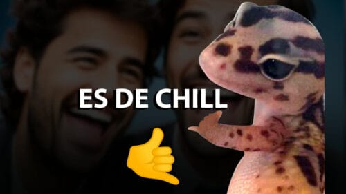 Es de chill