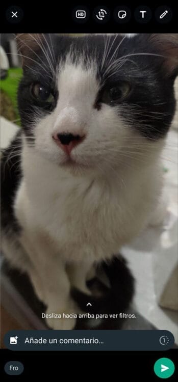 Enviar foto por WhatsApp