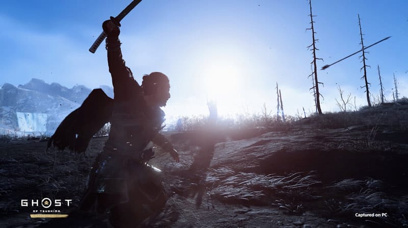 Captura en PC de Ghost of Tsushima: Versión del Director
